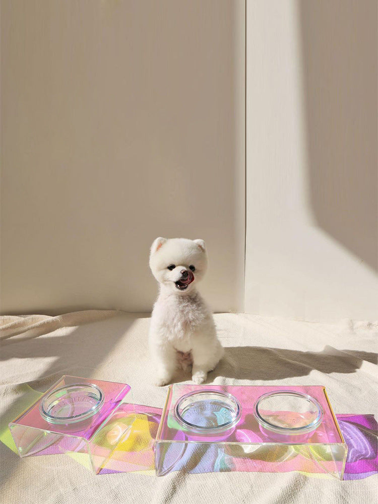 Modern Acrylic Dog Bowl, Elevated Single & Double Bowls